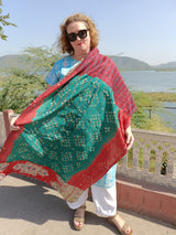 The sari kantha shawl
